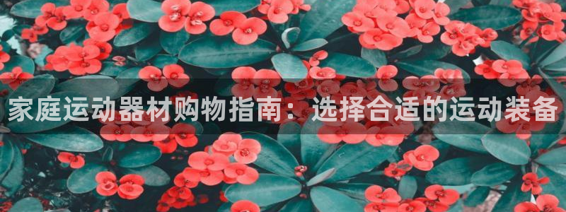 fb体育平台注册要钱吗安全吗：家庭运动器材购物指南：选择合适