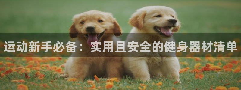 fb体育娱乐：运动新手必备：实用且安全的健身器材清单