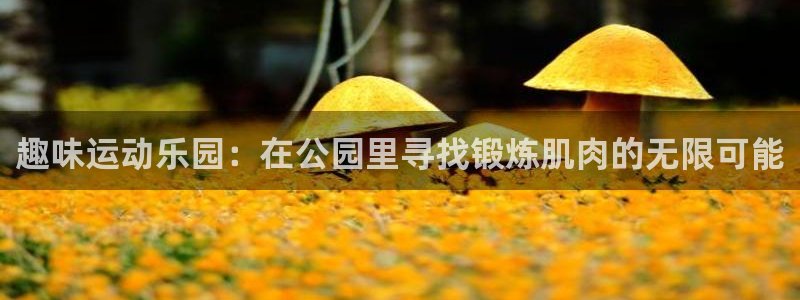 fb体育神州：趣味运动乐园：在公园里寻找锻炼肌肉的无