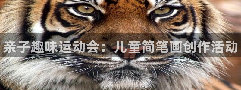 fb体育招商电话号码是多少号：亲子趣味运动会：儿童简笔画创作
