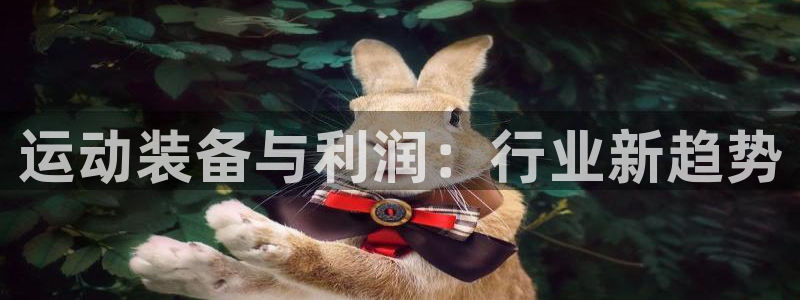 fb体育平台注册要钱吗安全吗：运动装备与利润：行业新趋势