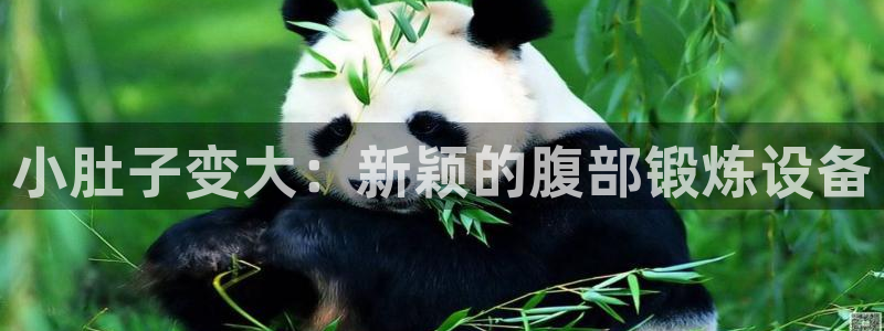 海南fb体育发展怎么样：小肚子变大：新颖的腹部锻炼设
