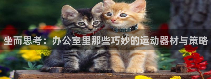 fb体育娱乐网站：坐而思考：办公室里那些巧妙的运动器材与策略