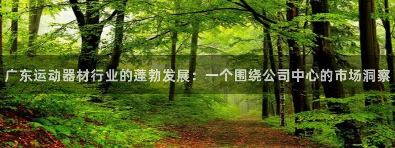 fb体育开户：广东运动器材行业的蓬勃发展：一个围绕公司中心的