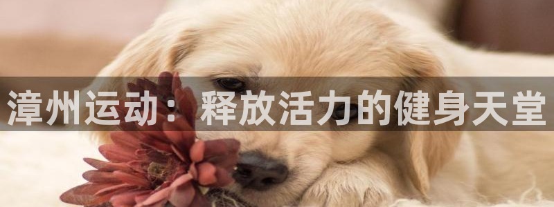 fb体育平台注册要钱吗是真的吗：漳州运动：释放活力的