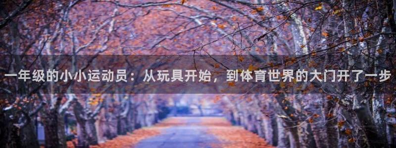 fb体育招商电话地址：一年级的小小运动员：从玩具开始